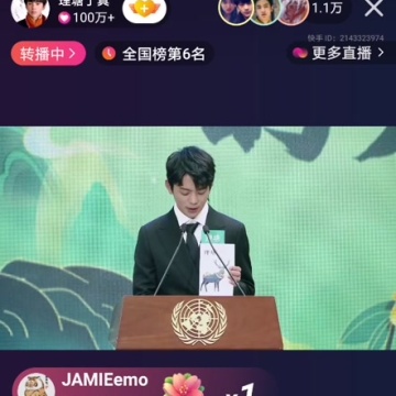 联合国开发计划署