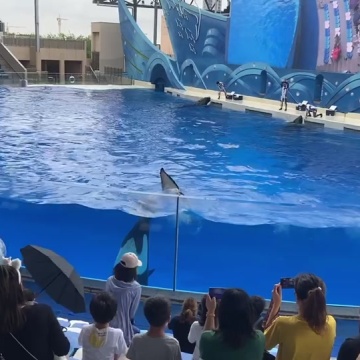 海昌海洋公园