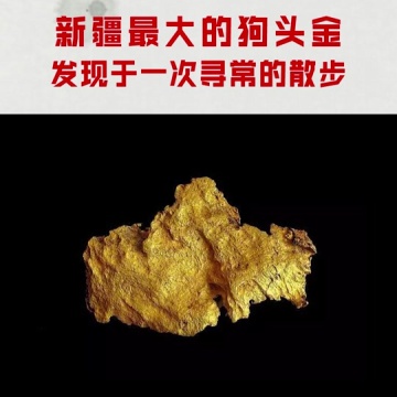 狗头金