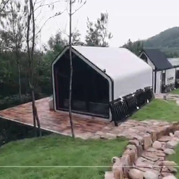 进村的东北虎被控制住了