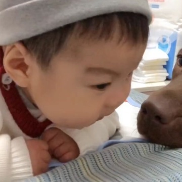 宝宝与狗狗