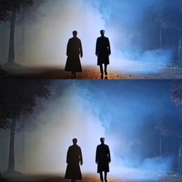 孤独又灿烂的神