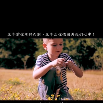艾维奇逝世三周年