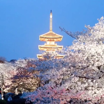 武汉旅游攻略
