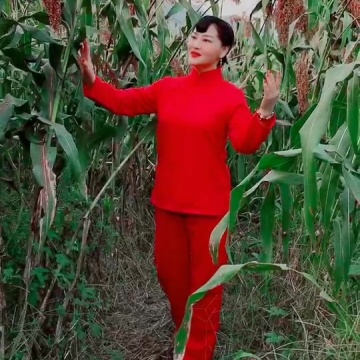 红高粱九儿