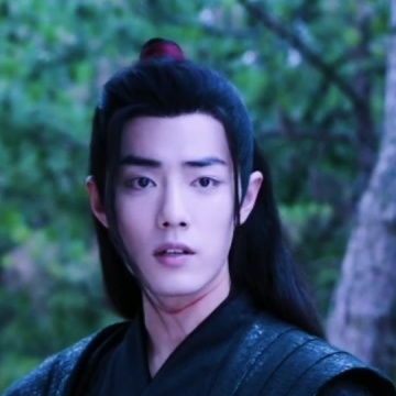 陈情令肖战王一博