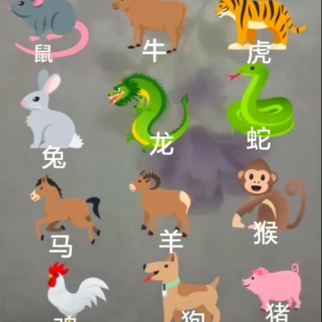 鼠牛虎兔龙蛇马羊猴鸡狗猪