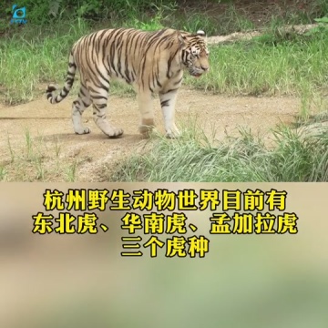杭州野生动物世界