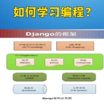 软件开发