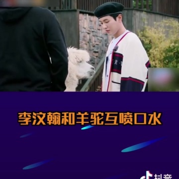 李汶翰和羊驼互喷口水