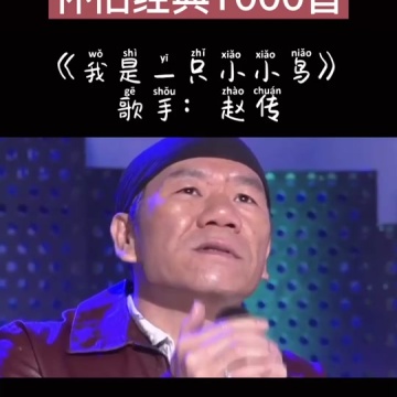我是一只小小鸟