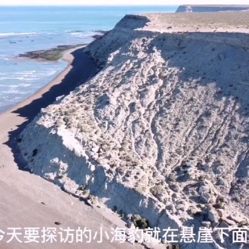 巴塔哥尼亚