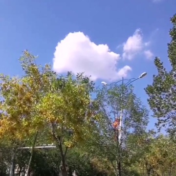 石河子大学