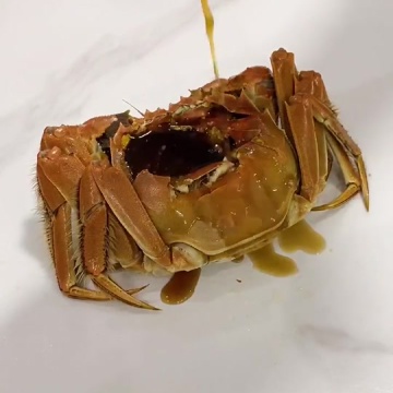 洪泽湖大闸蟹