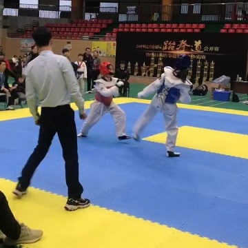 跆拳道比赛