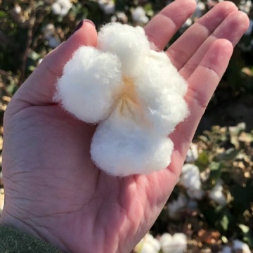 我支持新疆棉花