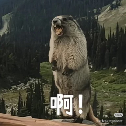 进击的土拨鼠们 群聊头像