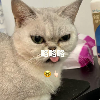 咪届刘亦菲 群聊头像