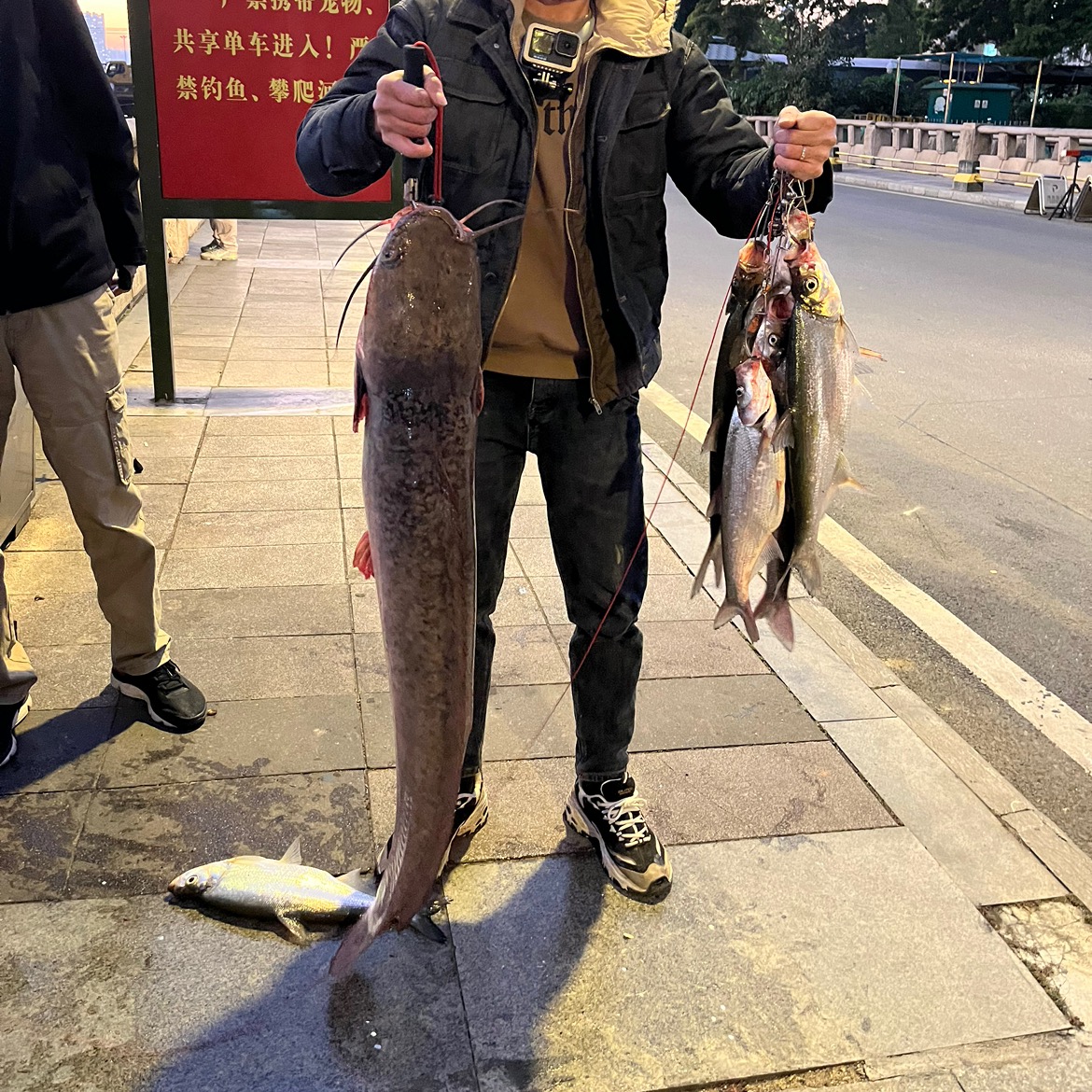 路亚标点分享群 群聊头像