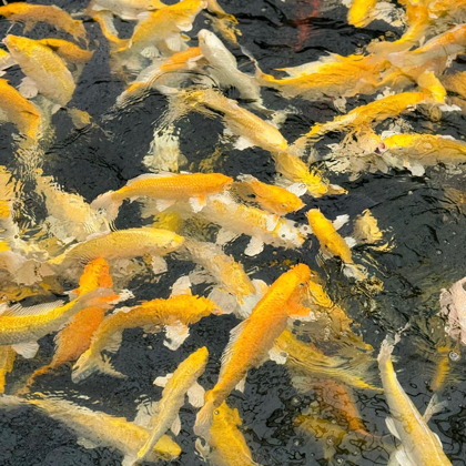 北京交流群 群聊头像