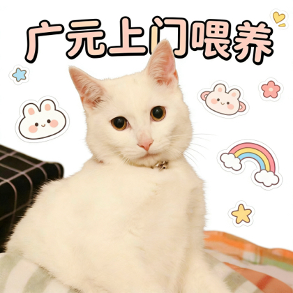 萌宠治愈所🐱🐶（宠物领养寻宠启事 群聊头像