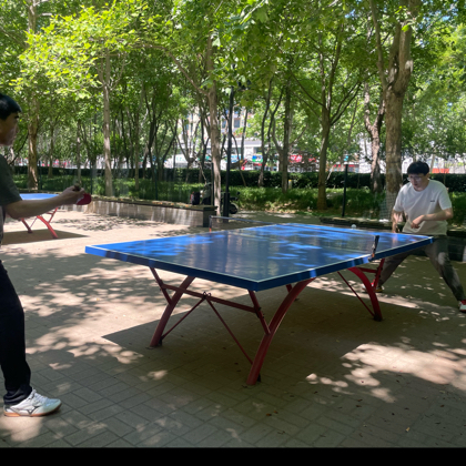 淄博乒乓球搭子群 群聊头像