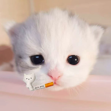 厉不厉害你聿哥 群聊头像