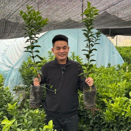 已拍果苗技术交流群 群聊头像
