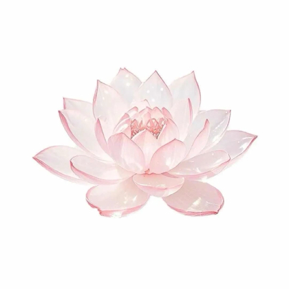 瓦瓦乱鲨2群 群聊头像