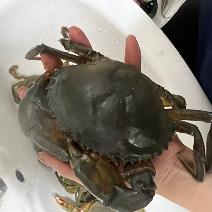 日常赶海分享群 群聊头像