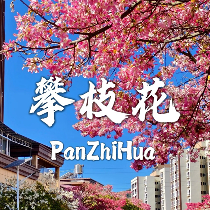 ③🌈攀枝花追光群 群聊头像