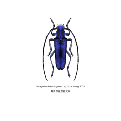 虫趣无穷 群聊头像