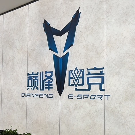 巅峰电竞CSGO粉丝群 群聊头像