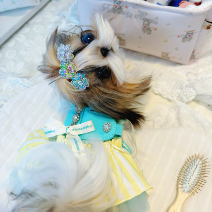 仙女🧚‍♀️钱多多 群聊头像