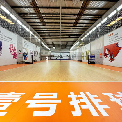 成都排球约球群 群聊头像