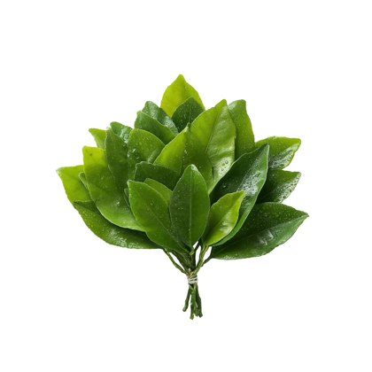 穿搭分享 群聊头像