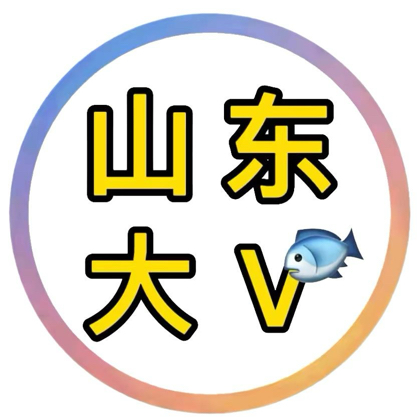 山东大V粉丝12群 群聊头像