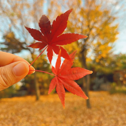 胰腺癌病友交流群 群聊头像