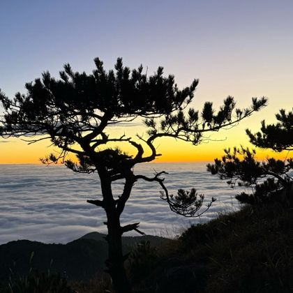 福建旅游爬山搭子群 群聊头像