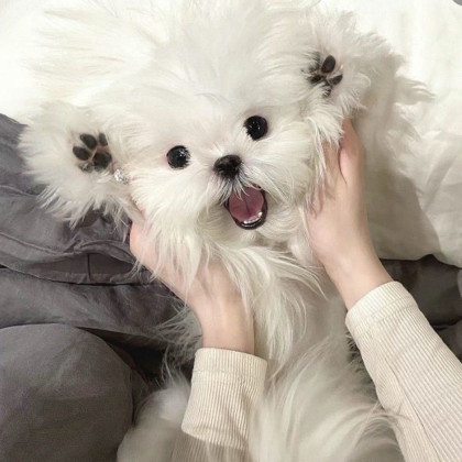 3️⃣分享图纸📓 群聊头像