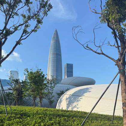 深圳交友读书会 群聊头像