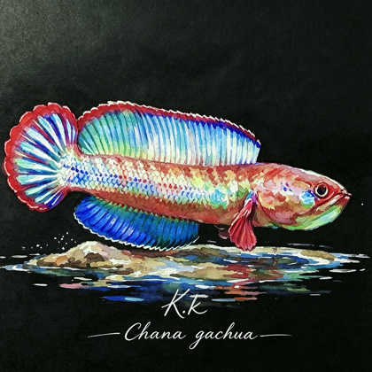 K.k雷龙粉丝交流群 群聊头像