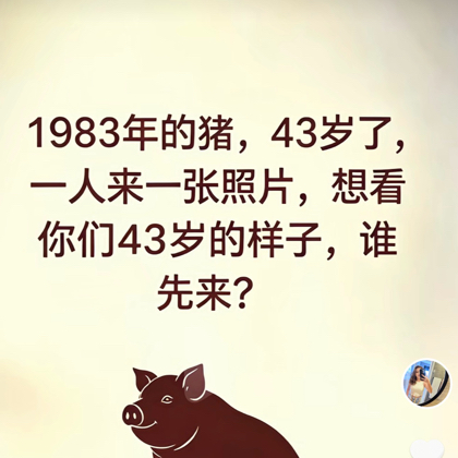 83年的猪群 群聊头像