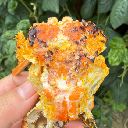 谢蟹你的关顾🦀🦀 群聊头像