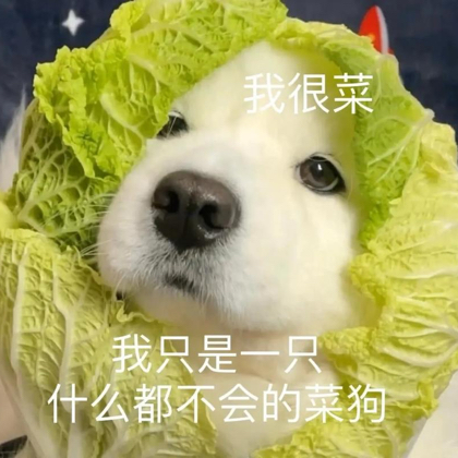 菜鸡小分队 群聊头像