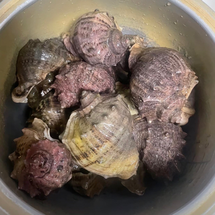 福建赶海精英队 群聊头像