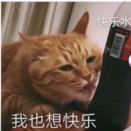 时光2部落《拾光小酒馆》 群聊头像