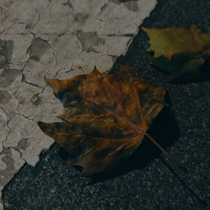 🌰的同款滤镜自取6 群聊头像