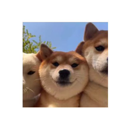 快乐小狗撒野群 群聊头像