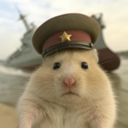 嘎嘎 群聊头像